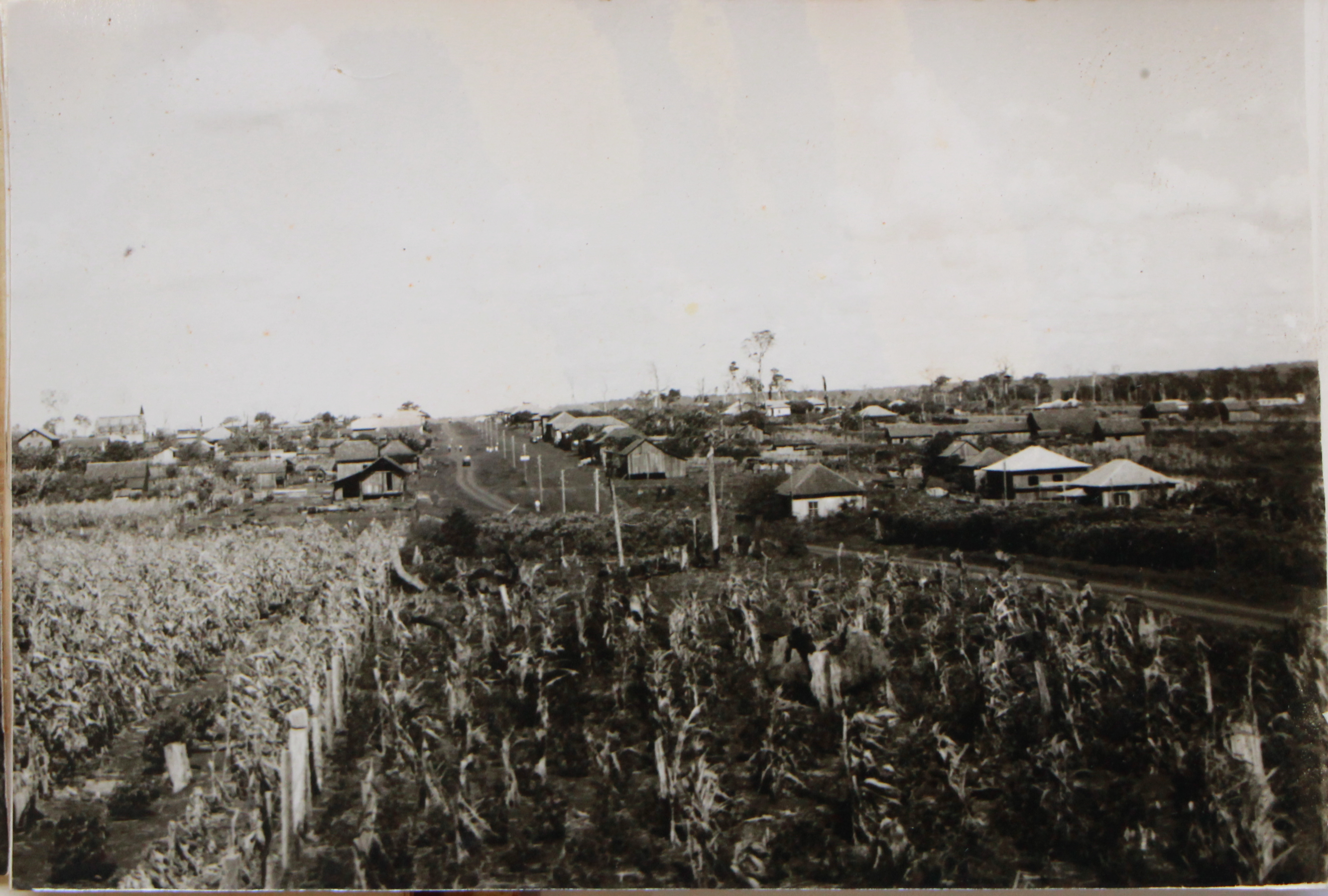 Plano de Colonização MARIPÁ